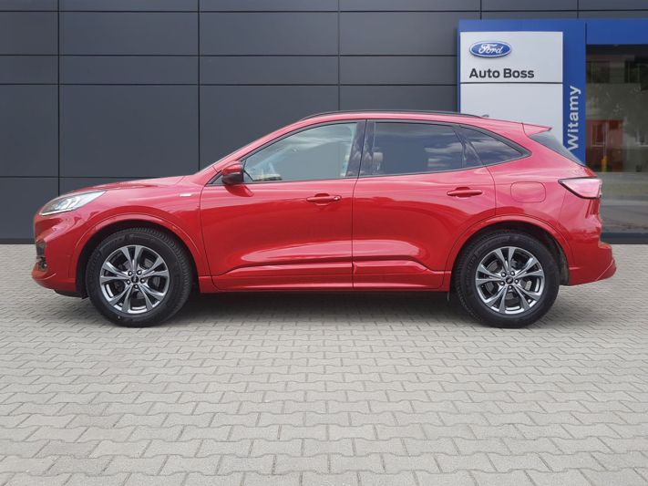 www.DobreUzywane.pl - FORD KUGA, 2.0 ECOBLUE 190 KM, ST- LINE, AWD