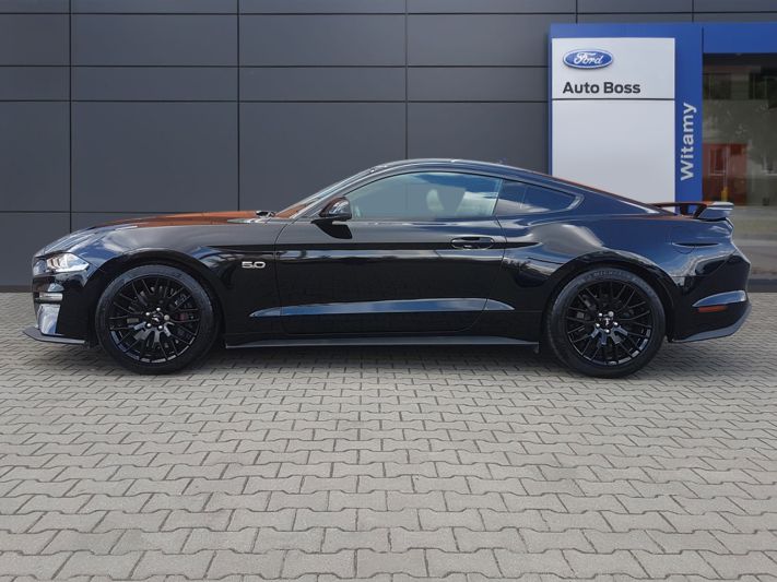 www.DobreUzywane.pl - FORD MUSTANG, 5.0 V8 450 KM, GT